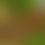 A blurred image with indistinct green and brown tones.