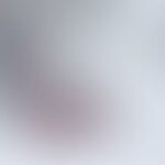blurred gray shape on pale white background
