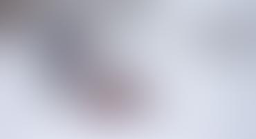 blurred gray shape on pale white background