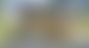 Blurry image with indistinguishable colors and shapes.