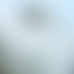 Pale blue sky with tiny blurred object