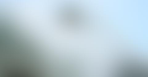 Pale blue sky with tiny blurred object