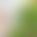 A blurry image with soft green and beige tones.