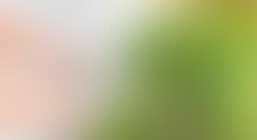 A blurry image with soft green and beige tones.