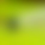 Blurred green and white abstract background with soft gradients.