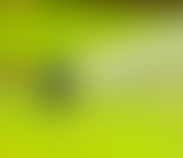 Blurred green and white abstract background with soft gradients.