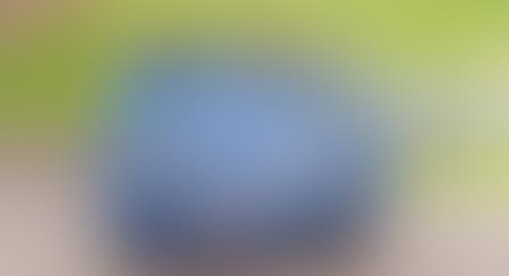 Round blue object blurred on green background