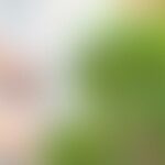 Blurred image with green and beige tones, details unclear.
