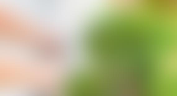Blurred image with green and beige tones, details unclear.