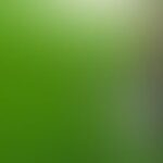A gradient blur transitioning from green to a light gray.