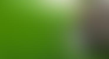 A gradient blur transitioning from green to a light gray.