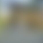 A blurred image of a wooden structure outdoors with greenery around.