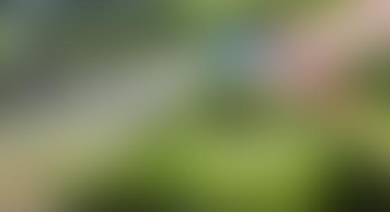 Blurry green landscape with hints of blue and pink.