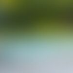 Blurred image with green and blue tones.