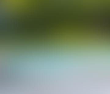 Blurred image with green and blue tones.