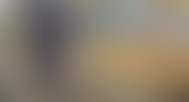 muted blur with gray and golden tones