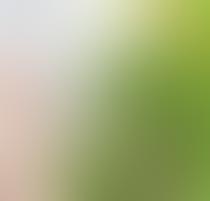 A blurred image with green and light colors blending together.