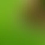 Abstract blurry image with green and brown tones.