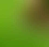 Abstract blurry image with green and brown tones.
