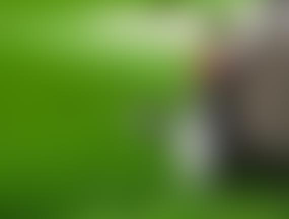 Blurred image with green and brown tones, unclear subject.
