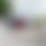 Blurred image of a person sitting on a bench outdoors.