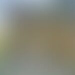 Blurry outdoor scene with indistinct shapes and colors.