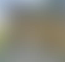 Blurry outdoor scene with indistinct shapes and colors.